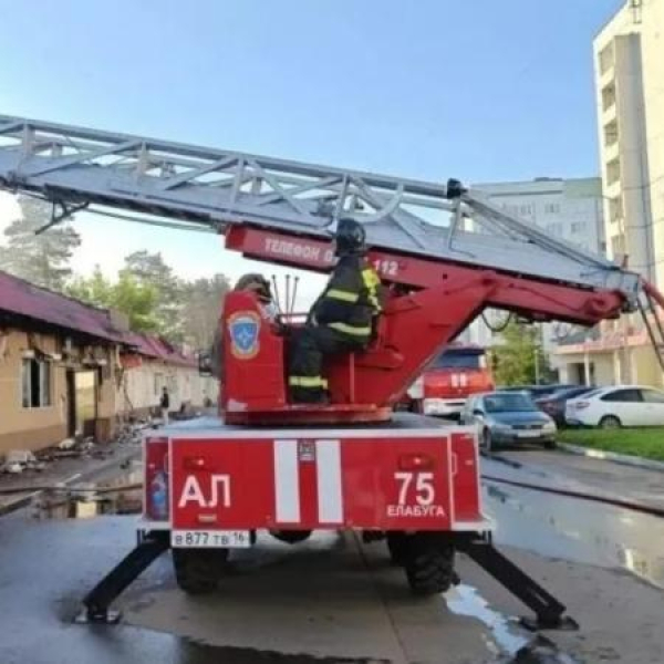 В Елабуге при пожаре спасли около ста кошек из приюта