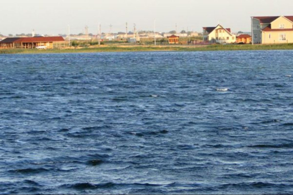 Blog Image