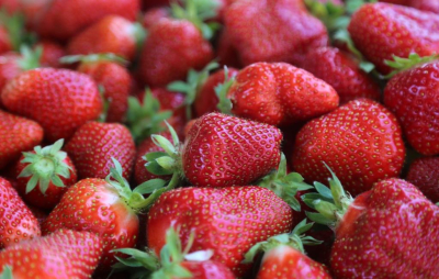 Shot: Бабушки начали продавать на российских трассах клубнику из Китая