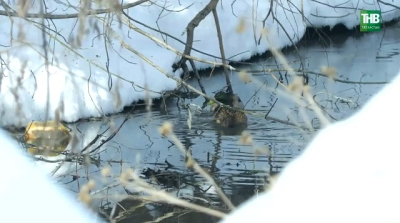 Каждый год одно и то же: названы традиционные места подтоплений в Татарстане