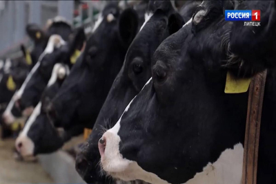 Липецкая область ужесточила контроль за ввозом и вывозом сельхозпродукции