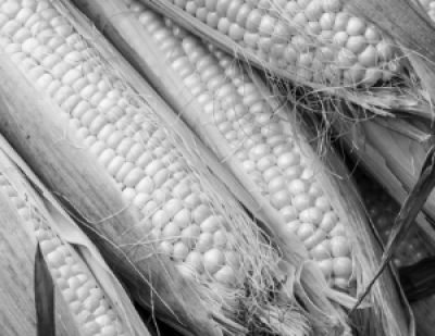 Иран пригрозил признать британские базы законными целями для ударов