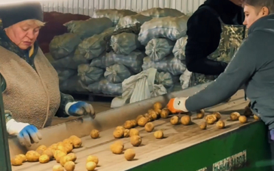 Картошку, морковь, лук и капусту завезли в стабфонд Актобе