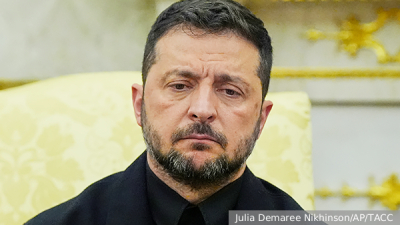 Песков допустил ответ Путина на открытое письмо Зеленского на сессии ПМЭФ