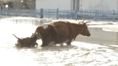 Свыше 130 взятых санврачами проб воды не соответствуют гигиеническим нормативам