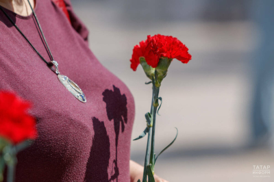 Сбор средств на помощь ветеранам в рамках акции &laquo;Красная гвоздика&raquo; проходит в Татарстане