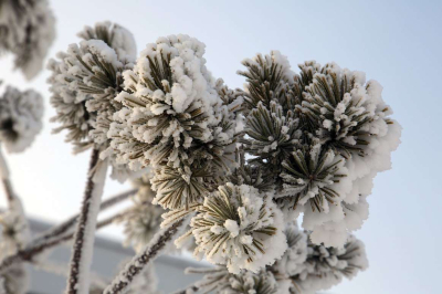 Арктический антициклон несет морозы в Казахстан