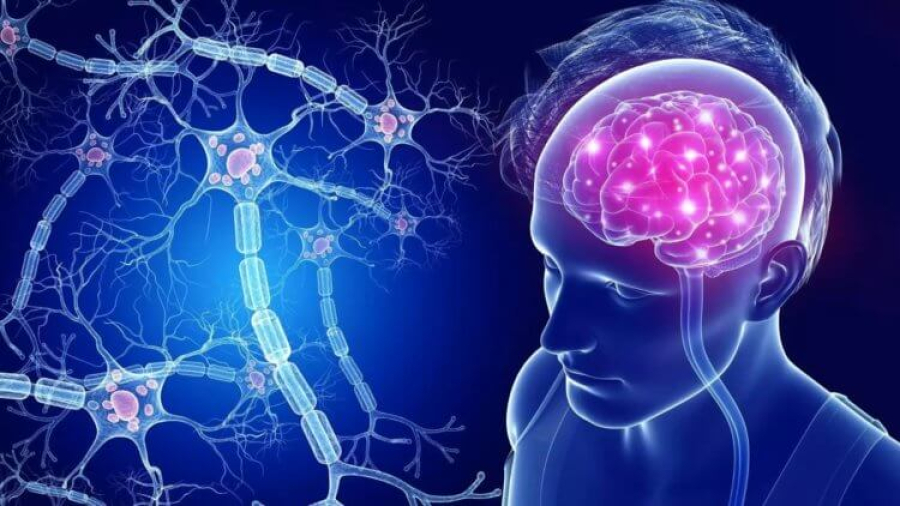 СОВЕТ ЭКСПЕРТА. Амнезия у взрослых связана с возрастными изменениями