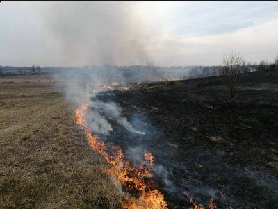 Татарстанцев просят убирать сухую траву, чтобы избежать лесных пожаров
