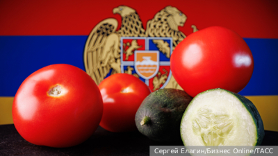 Посол Гармонин: Стратегия нацбезопасности Швейцарии стала антироссийской