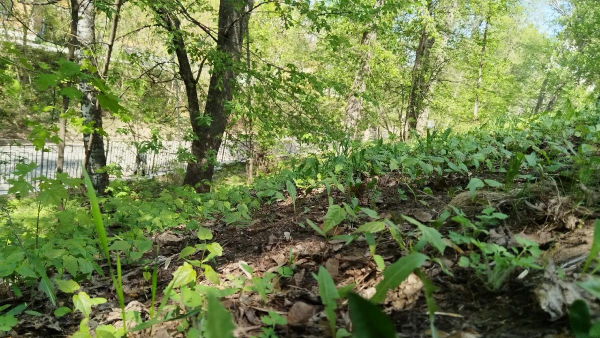Blog Image