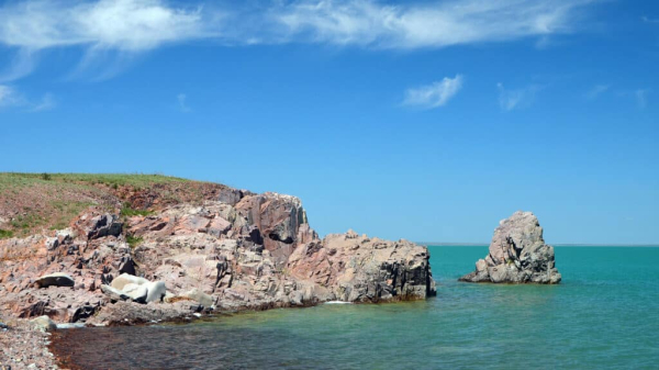 Blog Image