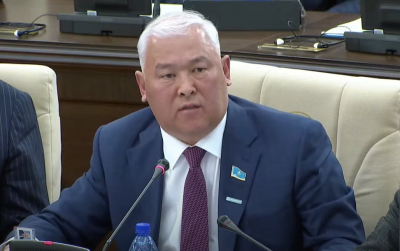 Депутат призвал привлекать к уголовной ответственности за растрату средств ОСМС