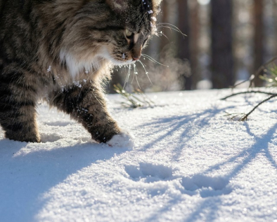 Мартовский шторм: после морозов до -33 в Татарстане резко потеплеет до +4
