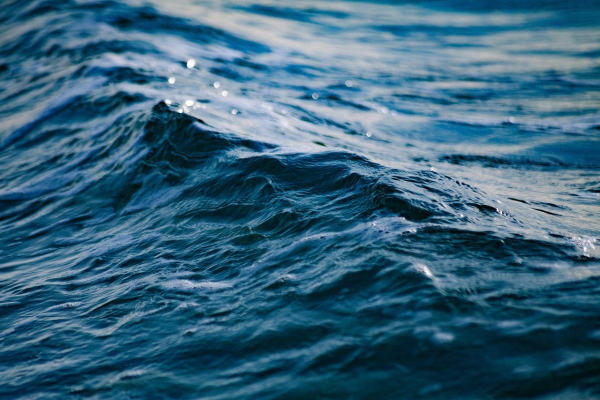 Blog Image