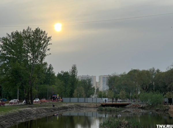 Blog Image