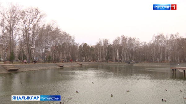 В РТ ожидаются ночные заморозки