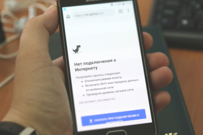 В отдельных регионах сохраняются сложности с цифровизацией ветслужбы — МСХ