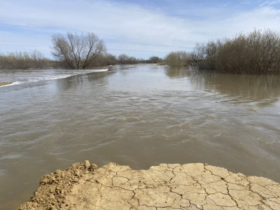 На Алтае ожидается вторая волна паводка: в МЧС озвучили прогноз