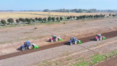 Си Цзиньпин дал указания по развитию сельского хозяйства и работе с фермерами на 2026 год